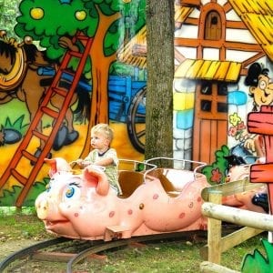 Attraction petits cochons