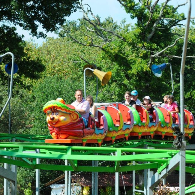 Attraction speedy gonzales